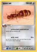 queen ant