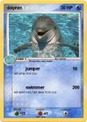 dolphin
