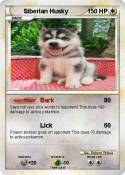Siberian Husky