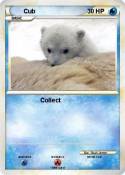 Cub