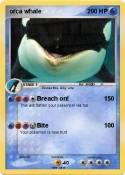 orca whale