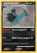 STORM DRAGON!
