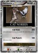 Cat Norris
