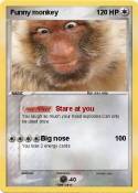 Funny monkey