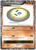Cell membrane