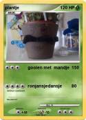 plantje