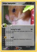 ninja hampster 