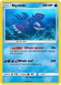 Big whale Big whale