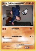 Kung Fu Kitty Kung Fu Kitty