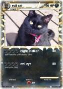 evil cat