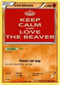 Love beavers