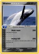 Whaleso