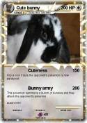 Cute bunny