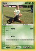 Hond