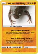 African clawed frog African clawed