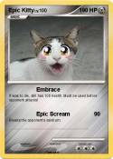 Epic Kitty