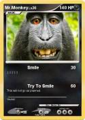 Mr.Monkey