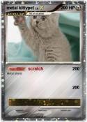 metal kittypet