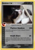 Awoken Cat