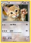 cat