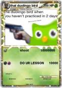 that duolingo