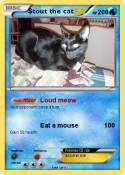 Stout the cat