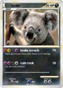 koala