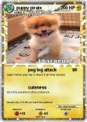 puppy pirate puppy pirate