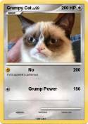 Grumpy Cat