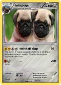 twin pugs