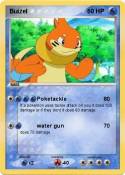 Buizel