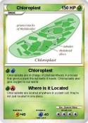 Chloroplast