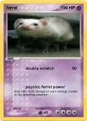 ferret