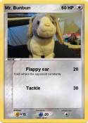 Mr. Bunbun