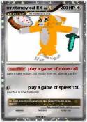 mr,stampy cat