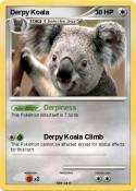 Derpy Koala