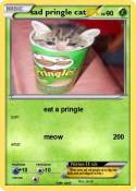 sad pringle cat