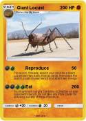 Giant Locust