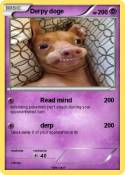 Derpy doge