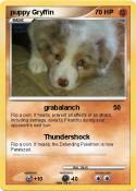 puppy Gryffin