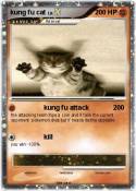 kung fu cat