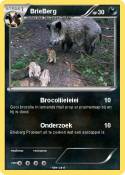 BrieBerg