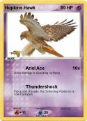 Hopkins Hawk
