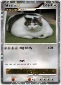 fat cat