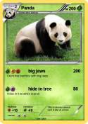Panda Panda