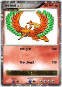 fire bird