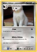 White Kitten