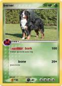 berner