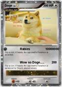 Doge