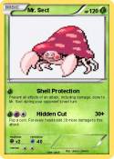 Mr. Sect